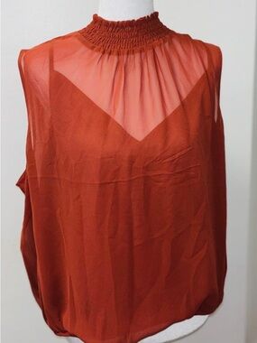 Express Sheer Smocked Mock Neck Blouse — Rust
